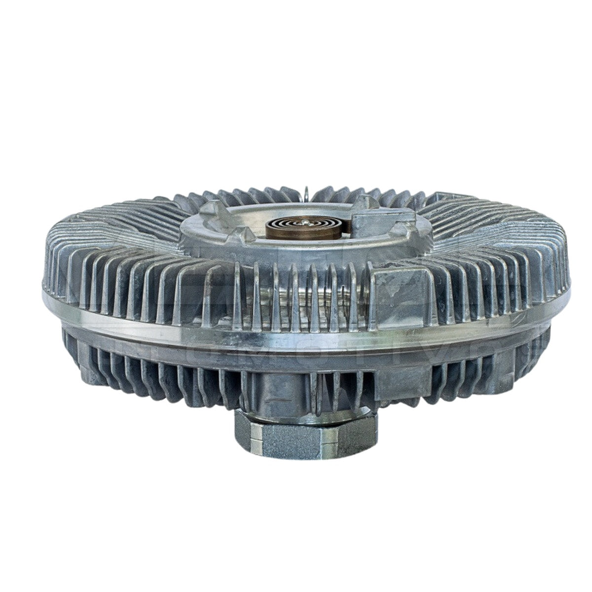Polia Viscosa - Vetor - VPV076 - (4)