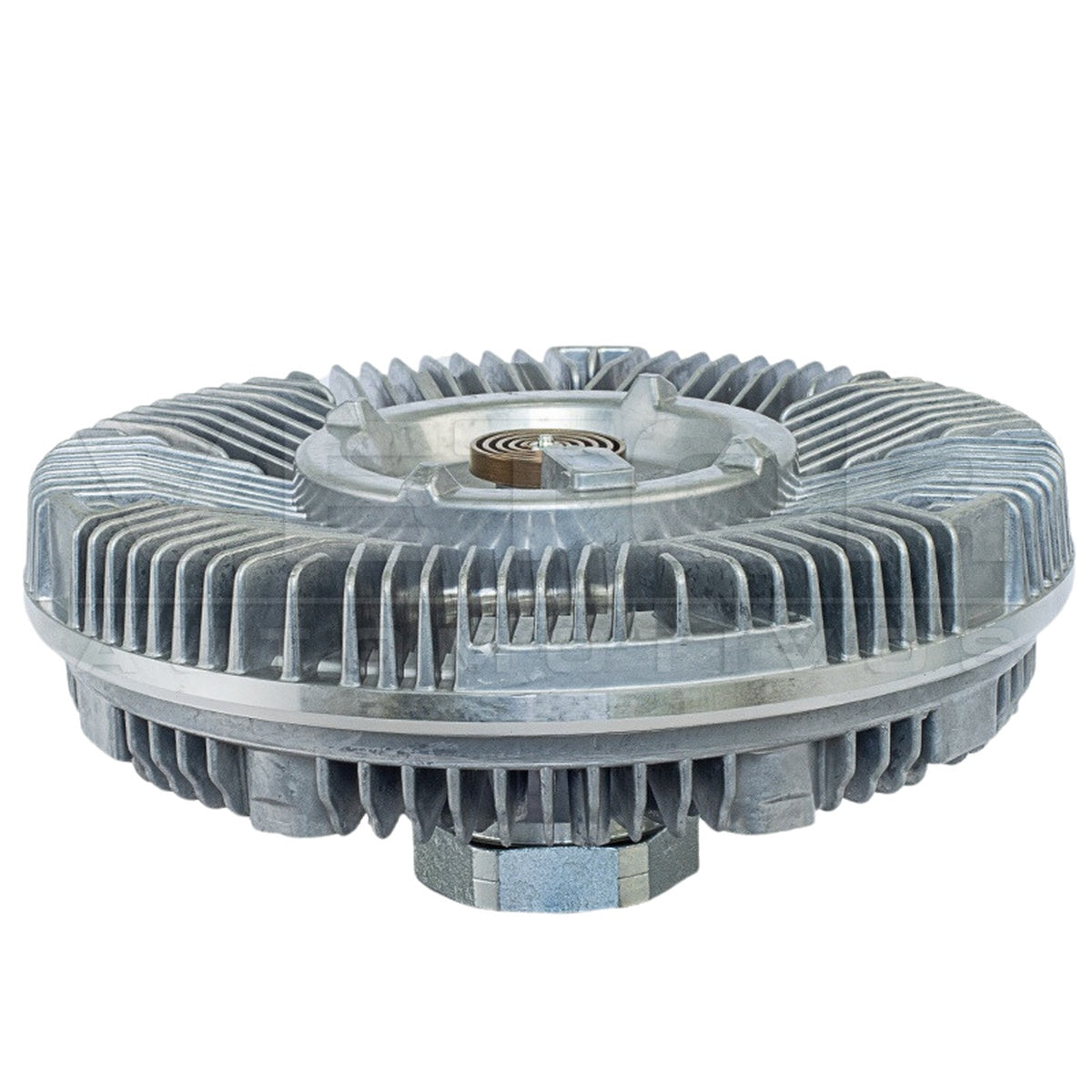 Polia Viscosa - Vetor - VPV081 - (7)