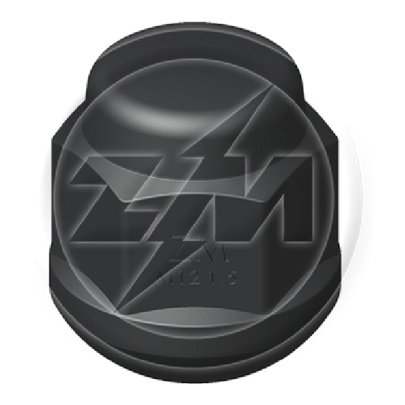 Po Rda M12-1,5 X Ch19 X H24 - Esf - Pr - ZM - 2901213 - (1)