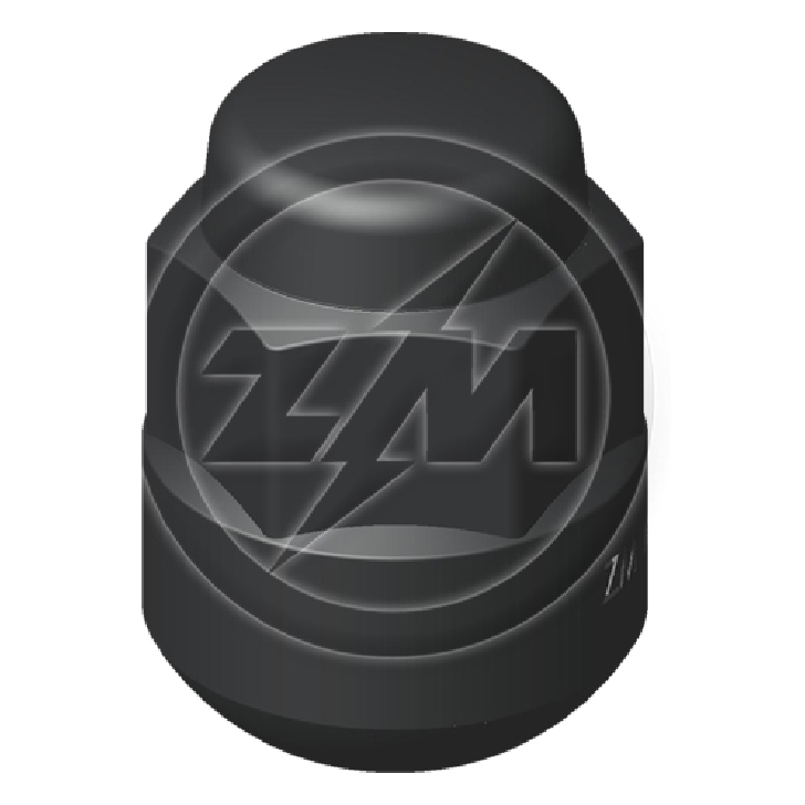 Po Rda M12-1,5 X Ch19 X H30 - Esf - Pr - ZM - 2901214 - (1)
