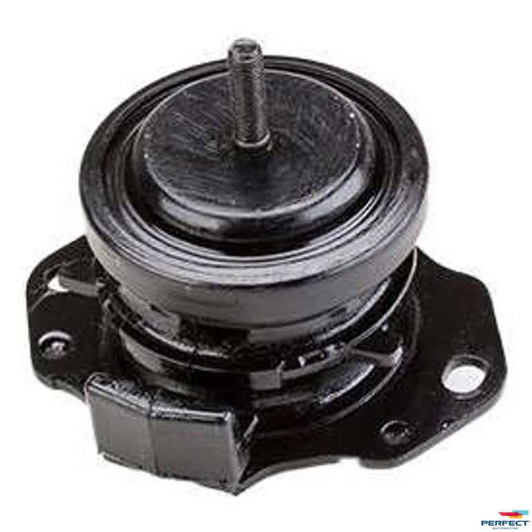 Rolamento do Cardan - Perfect - COX3117 - (1)