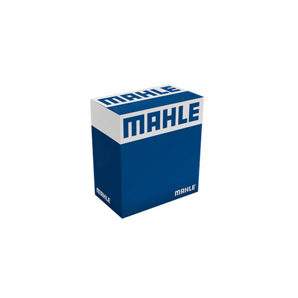 Biela - Mahle - BL0489198 - (1)