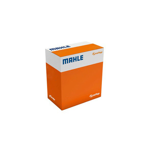 Pistão com Anéis STD para Honda CG 160 e NXR 160 BROS - Mahle Cofap - CO P&A9825 STD - (1)
