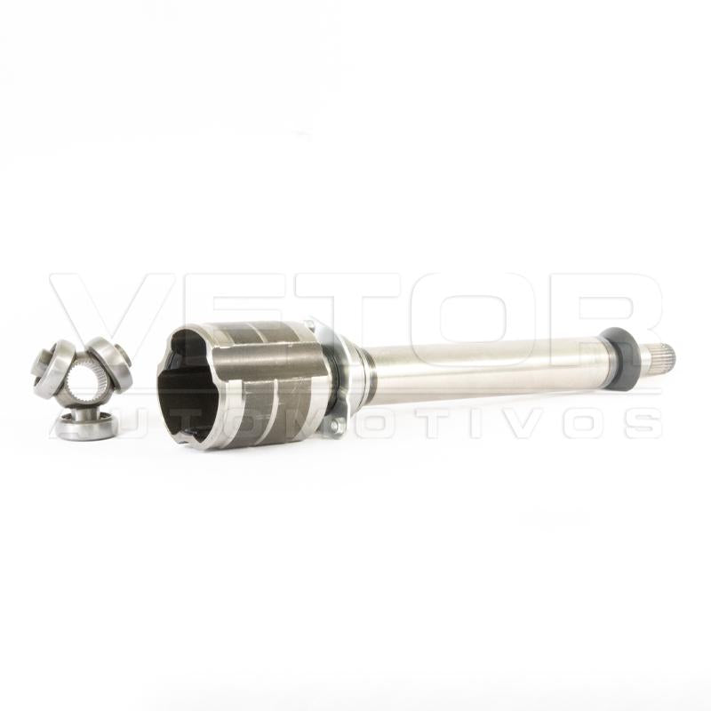 Tulipa Direita - Vetor - VT5946 - (2)