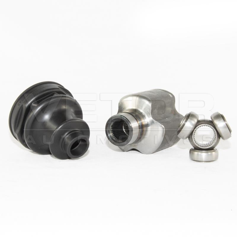Tulipa Direita - Vetor - VT5841 - (2)