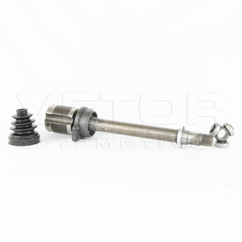 Tulipa Direita - Vetor - VT6006 - (2)