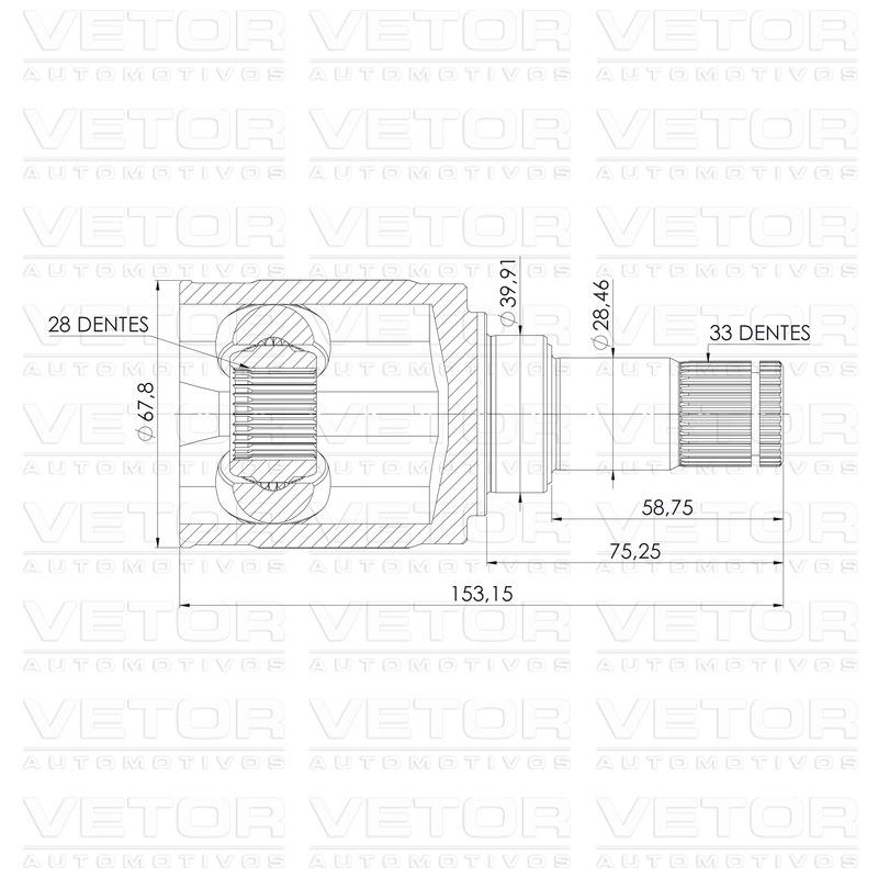 Tulipa Direita ou Esquerda - Vetor - VT6012 - (4)