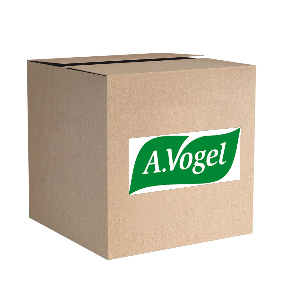 Diafragma Carburador - Vogel - 6022 - (1)