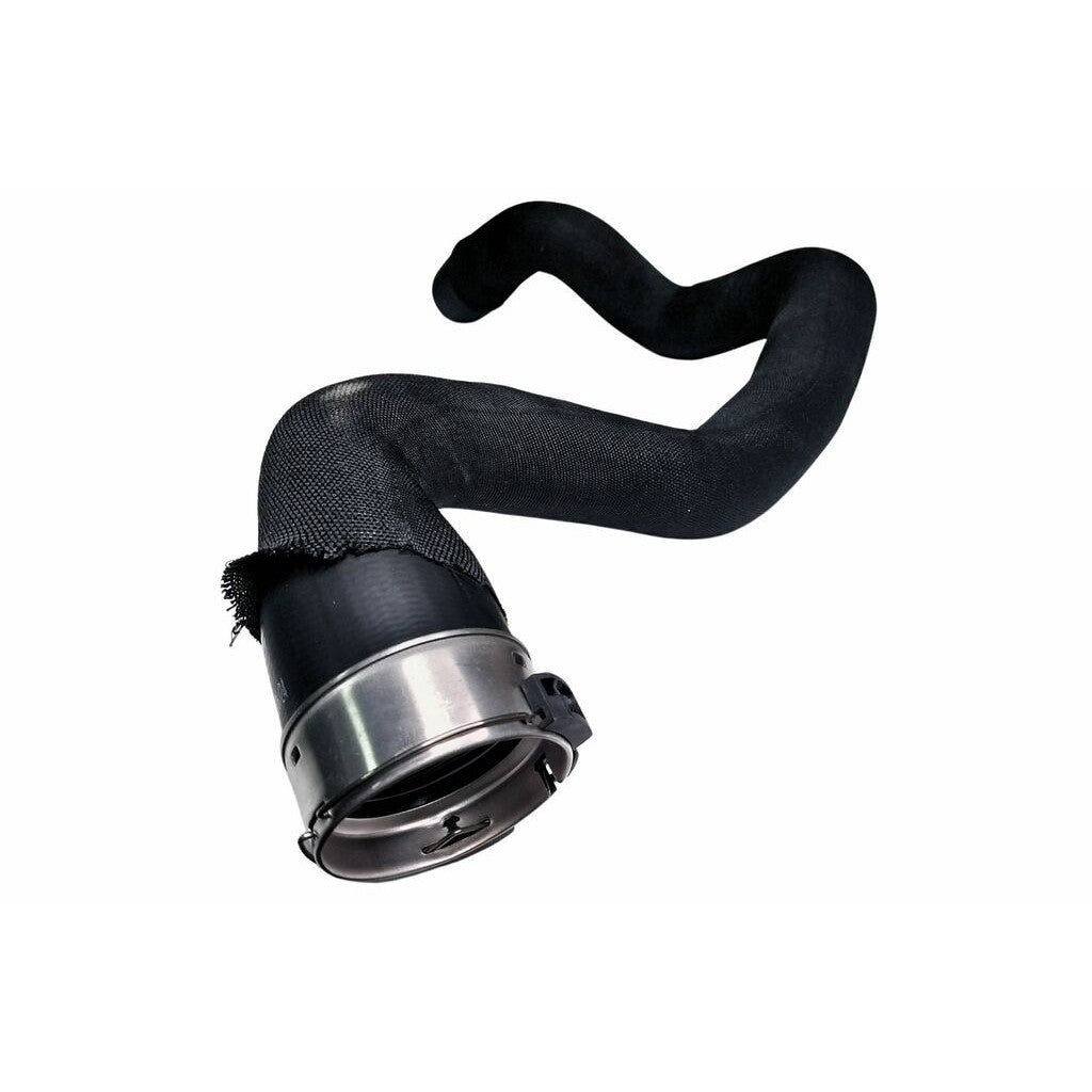 Mangueira Intercooler Lado Direito - MG Mangueiras - MG555 - (2)