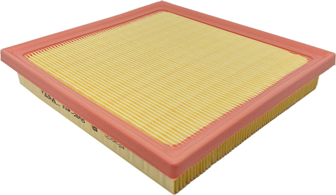 Filtro de Ar do Motor - Wega - FAP-2855 - (2)