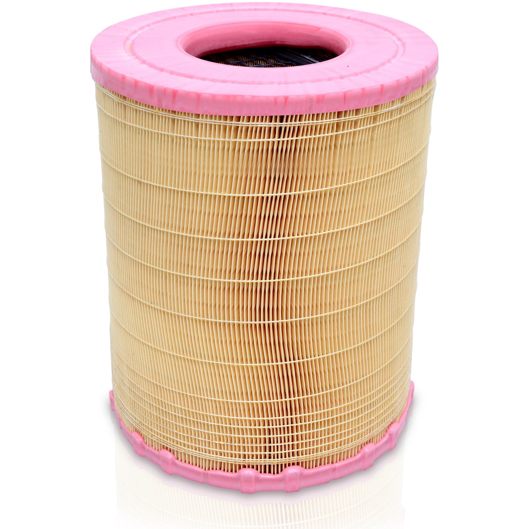 Filtro de Ar - Mann-Filter - C281012 - (1)