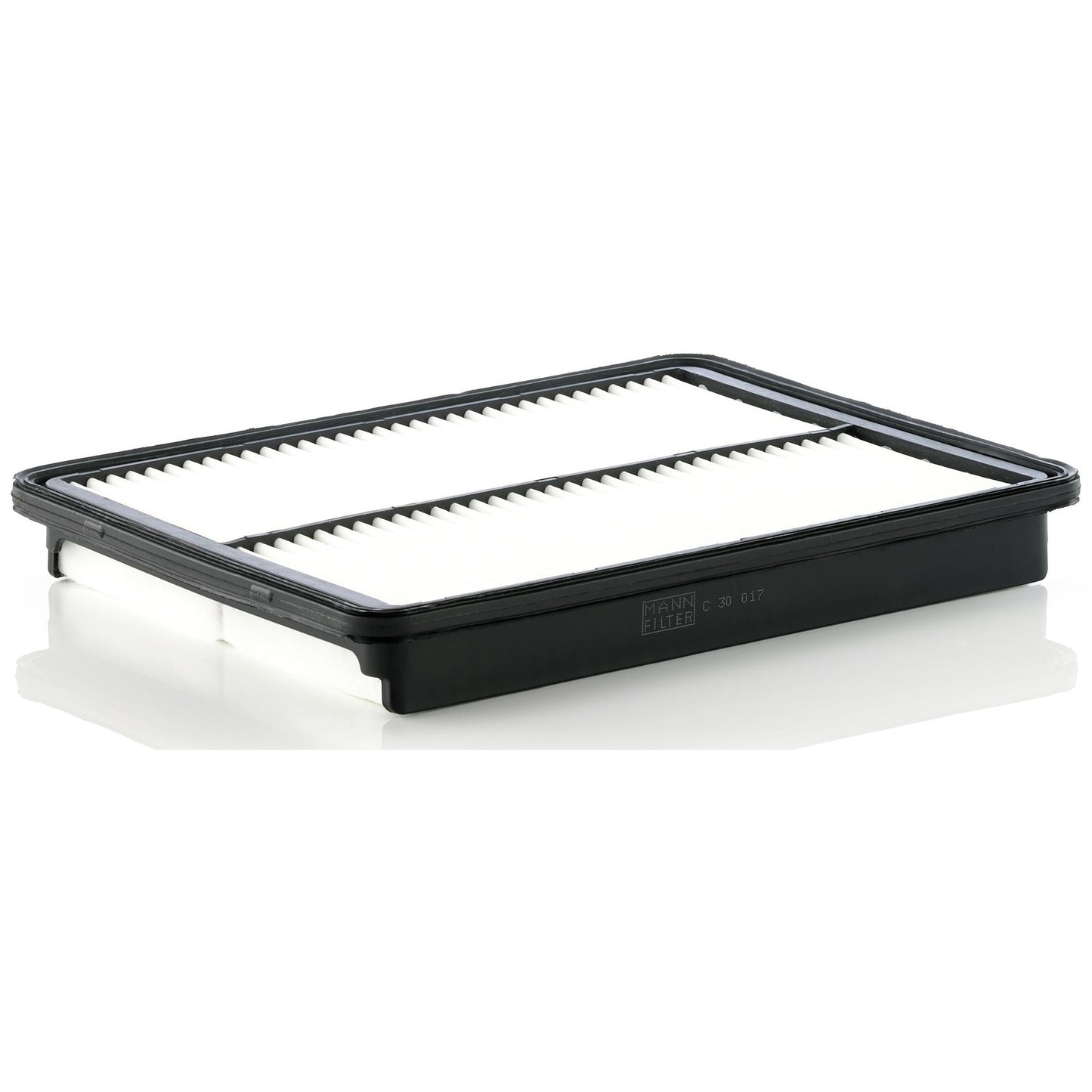 Filtro de Ar - Mann-Filter - C30017 - (1)