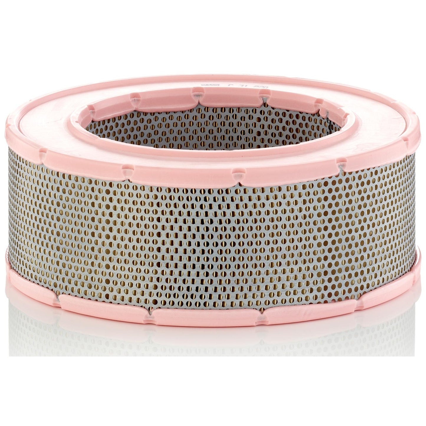 Filtro de Ar - Mann-Filter - C31220 - (1)