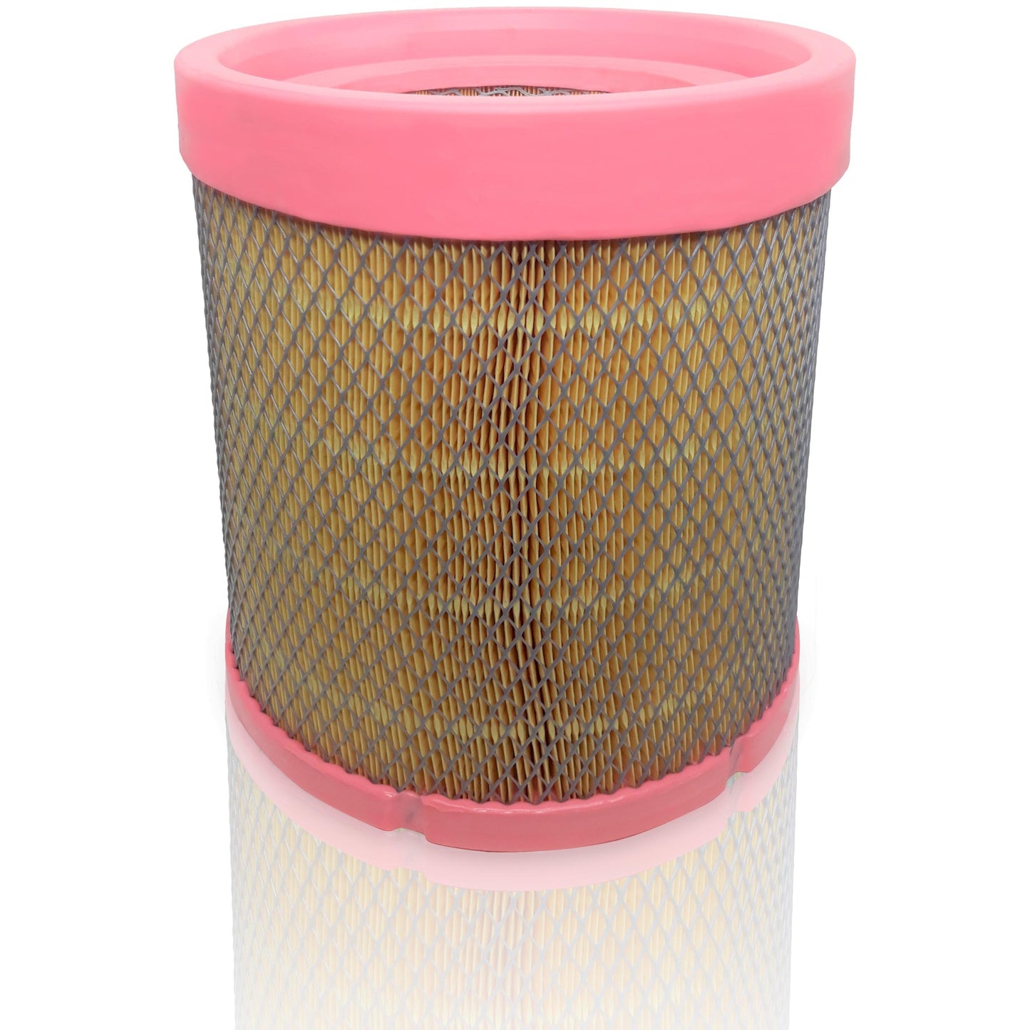 Filtro de Ar - Mann-Filter - C31021/1 - (1)