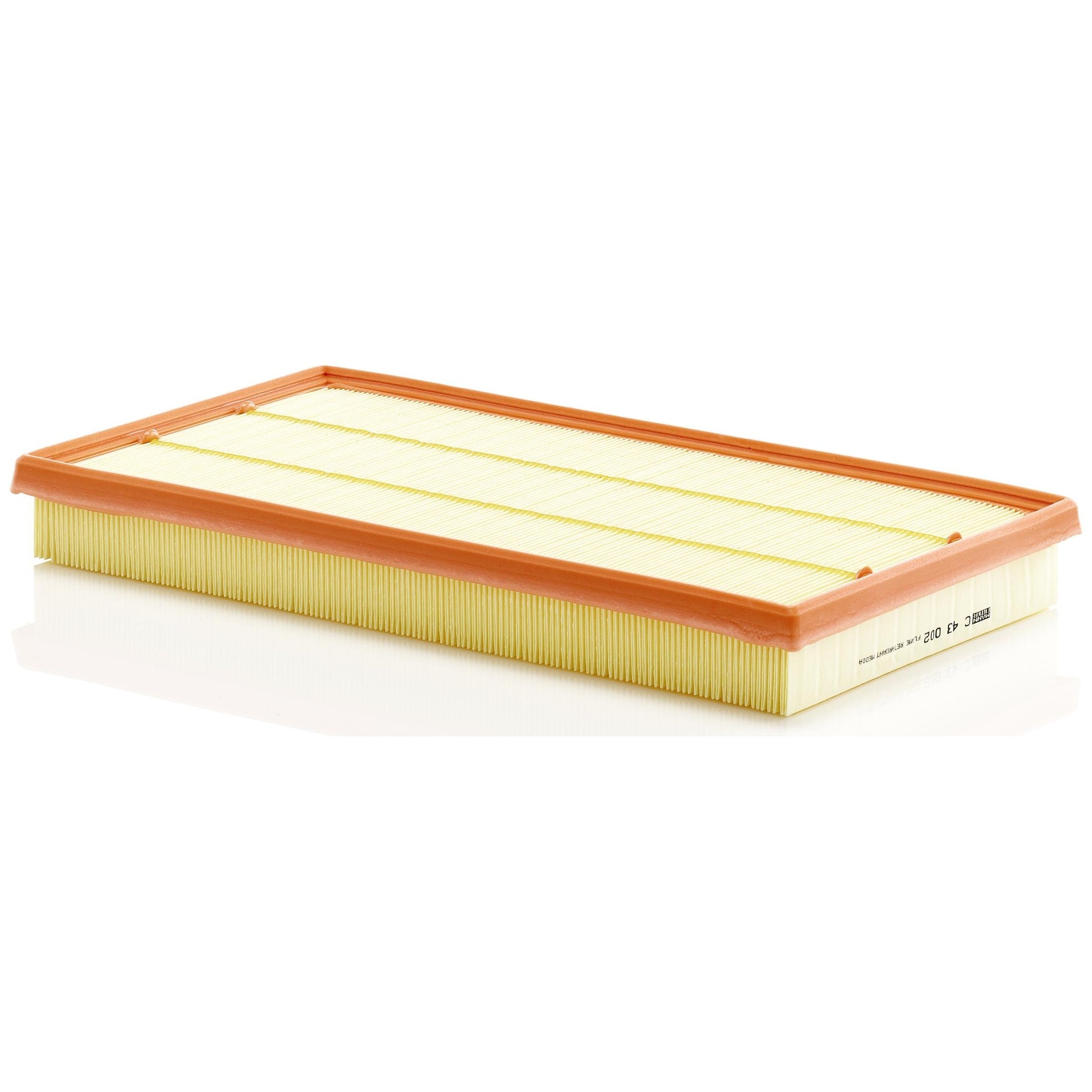 Filtro de Ar - Mann-Filter - C43002 - (1)