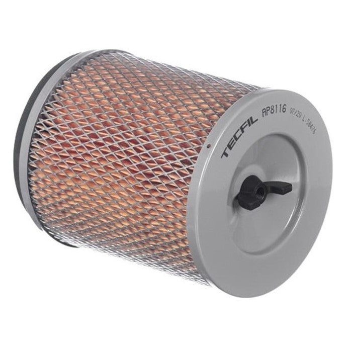 Filtro de Ar do Motor - Tecfil - AP8116 - (2)