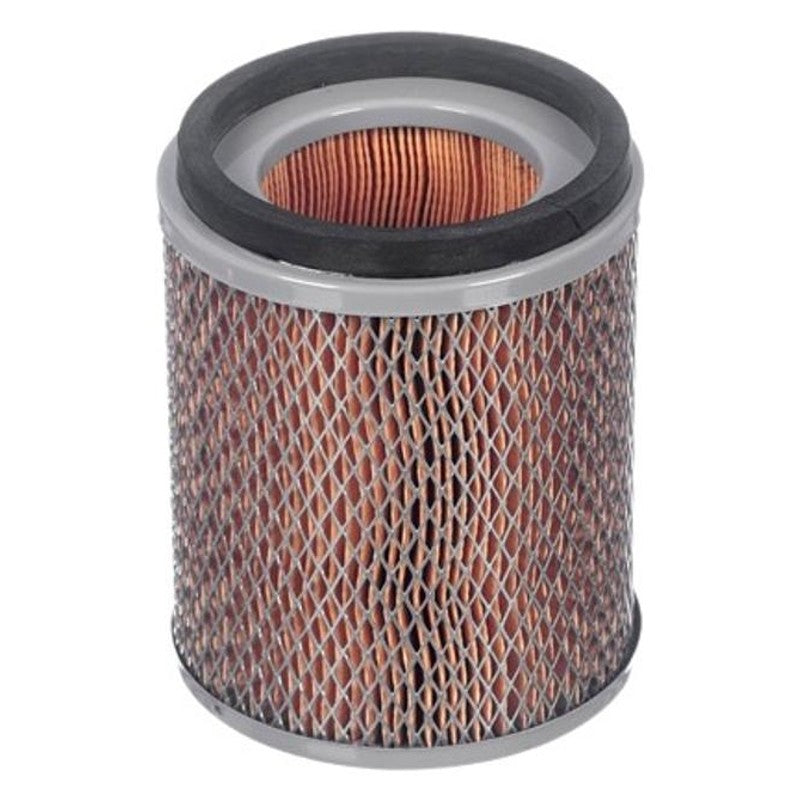 Filtro de Ar do Motor - Tecfil - AP8116 - (3)