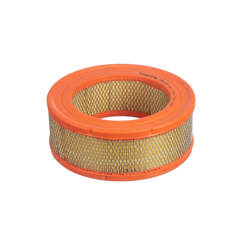 Filtro de Ar do Motor - Tecfil - AR1070 - (1)