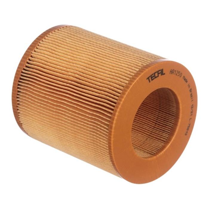 Filtro de Ar do Motor - Tecfil - AR1250 - (1)