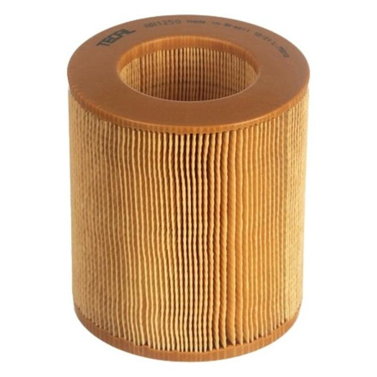 Filtro de Ar do Motor - Tecfil - AR1250 - (3)