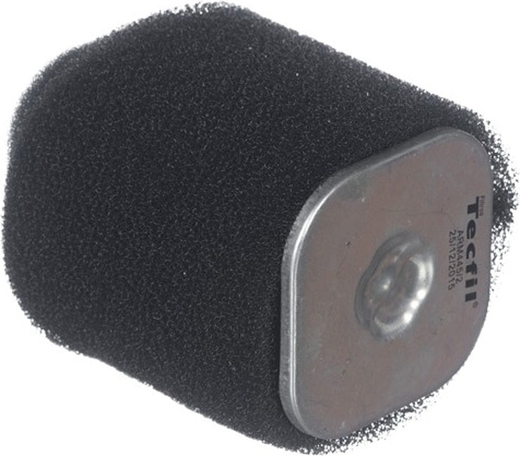 Elemento do Filtro de Ar - Tecfil - ARM445/2 - (2)
