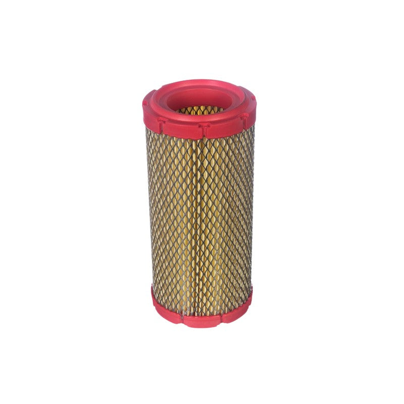 Filtro de Ar para Asia Topic - Tecfil - AP9031 - (3)