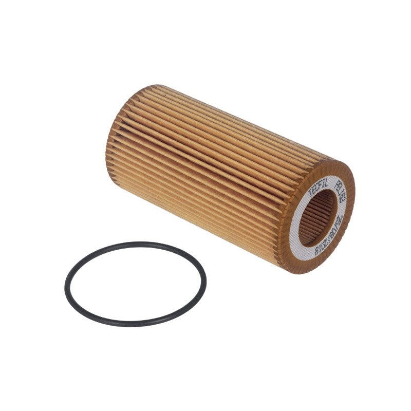 Filtro Lubrificante - Tecfil - PEL163 - (1)
