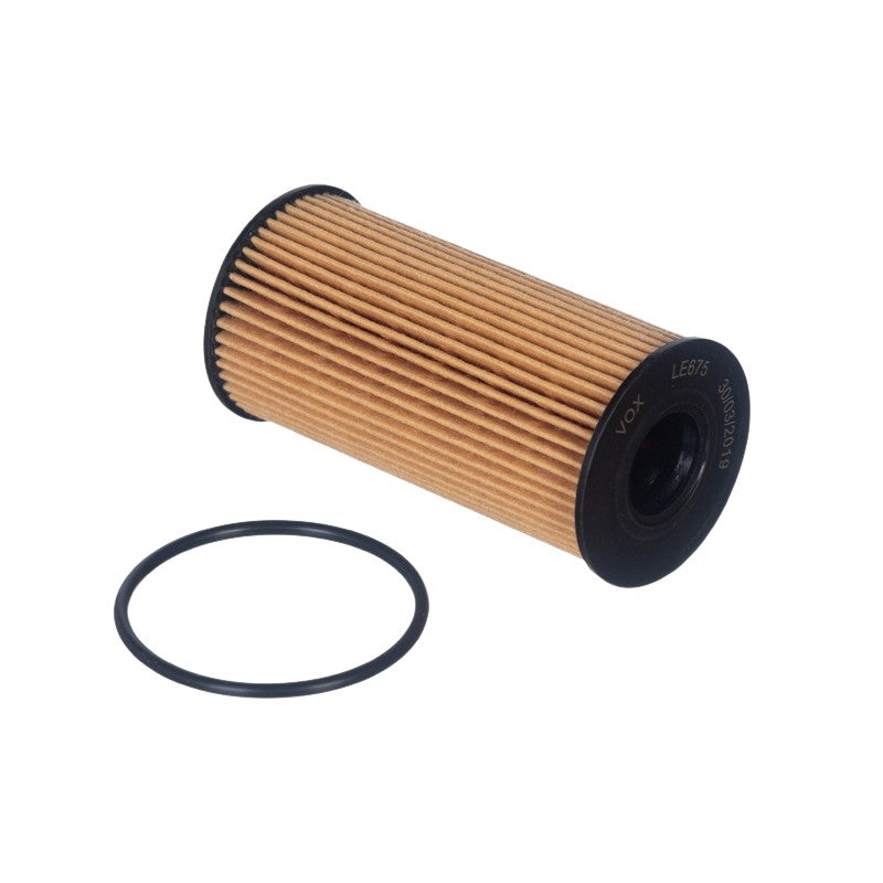 Filtro de Óleo Lubrificante para Renault Master - VOX - LE675 - (1)