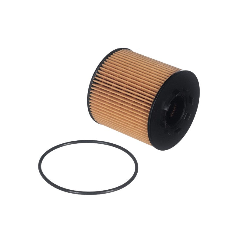 Filtro de Óleo Lubrificante para Renault Master - VOX - LE312 - (1)