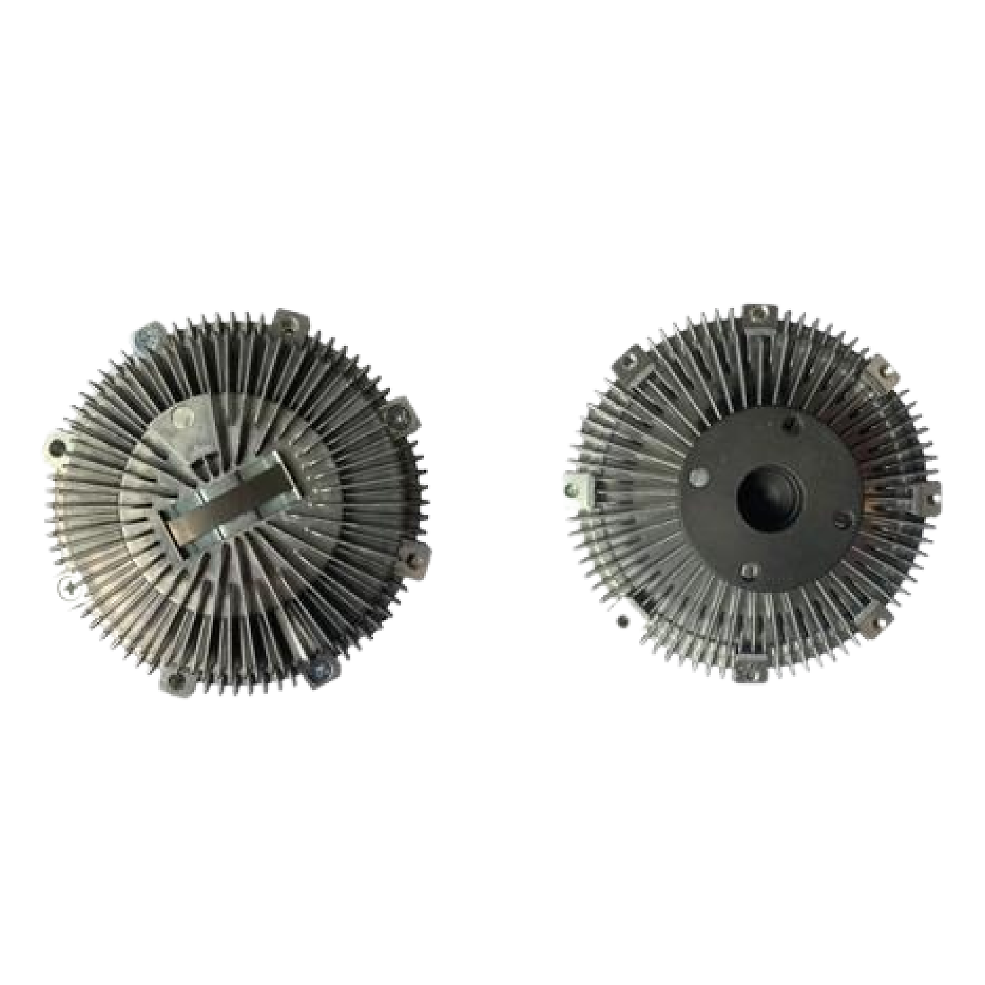 Polia Viscosa - Frontier - 73598 - (2)