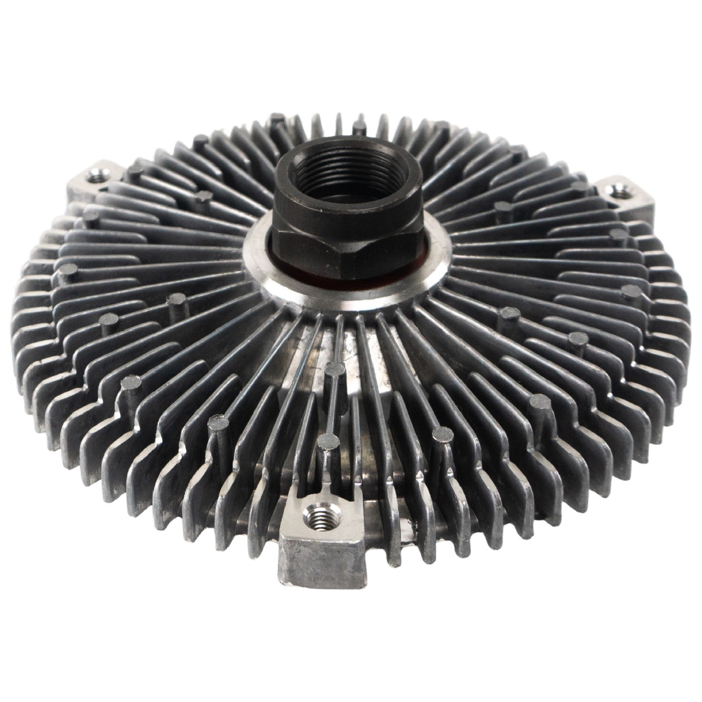 Polia Viscosa - Frontier - 27591 - (5)