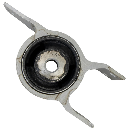 Bucha da Bandeja Posterior Direito - Dlz - 77874 - (1)