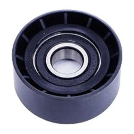 Polia do Alternador - Dayco - APV2159 - (1)