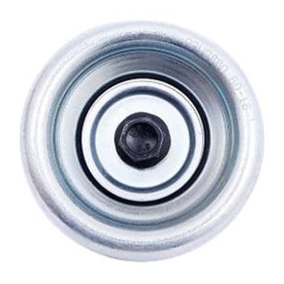 Polia do Alternador - Dayco - APV2880 - (1)