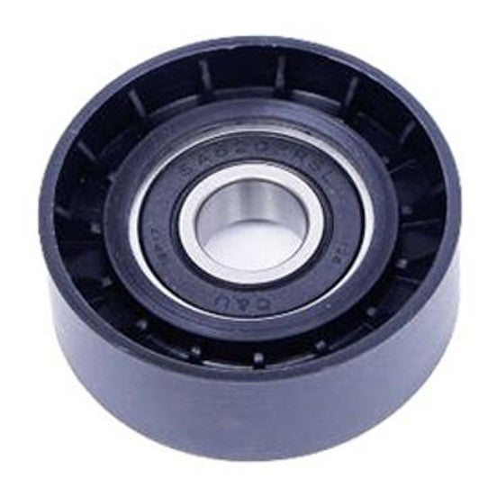 Polia do Alternador - Dayco - APV2924 - (1)