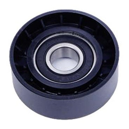 Polia de Acessórios - Dayco - APV3164 - (1)