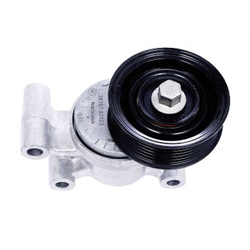 Tensionador do Alternador - Dayco - APV2540 - (1)
