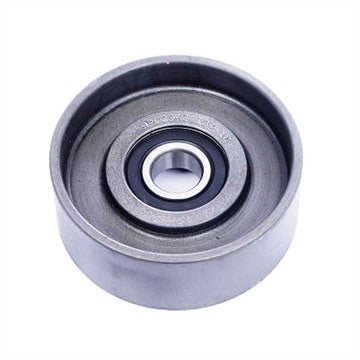 Polia do Alternador - Dayco - APV2943 - (1)