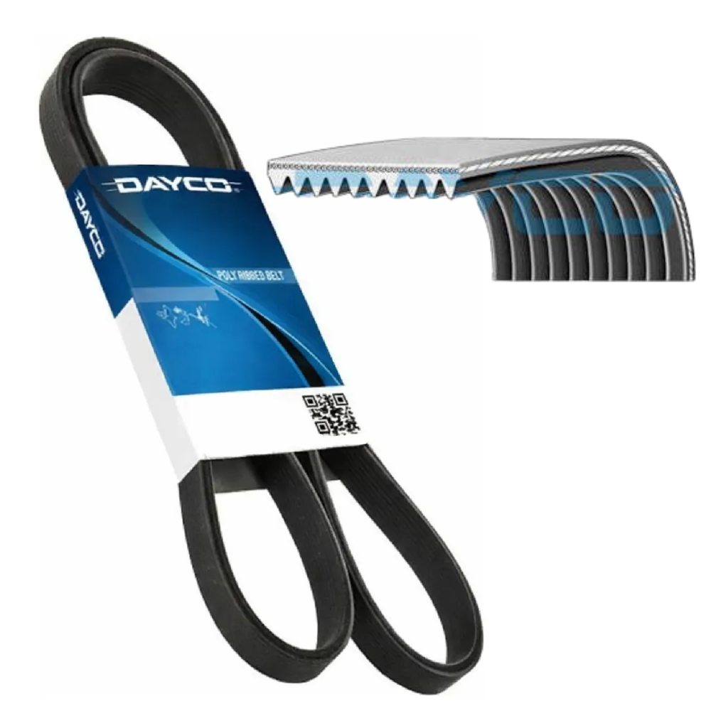 Correia Poly-V 10PK - Dayco - 10PK1108HD - (1)