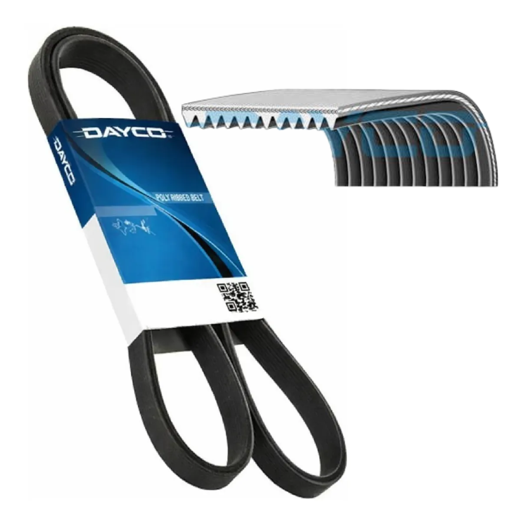 Correia Poly-V 12PK - Dayco - 12PK1830HD - (1)