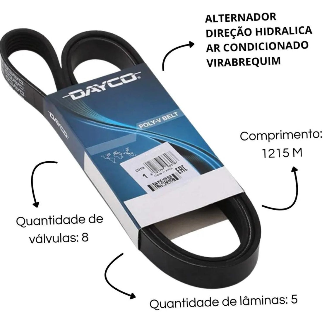 Correia Poly-V 5PK - Dayco - 5PK1815 - (3)