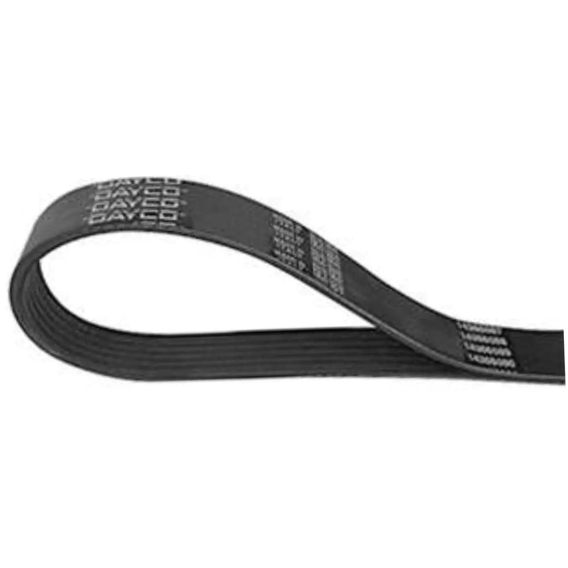 Correia Poly-V 5PK - Dayco - 5PK1070EE - (4)