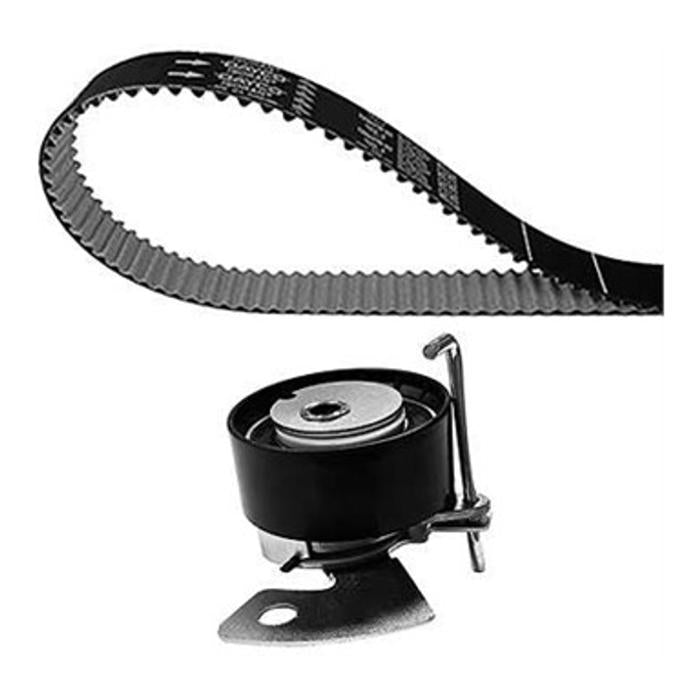 Kit Correia Dentada (Belt in Oil - Óleo) - Dayco - KBIO02 - (6)