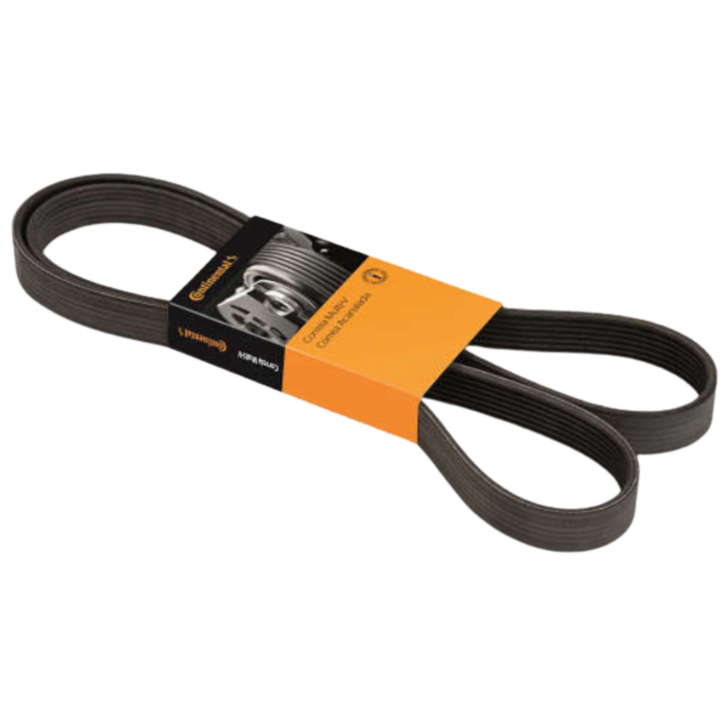 Correia Acessórios Poly-V - Continental Contitech - 6PK2260 - (1)