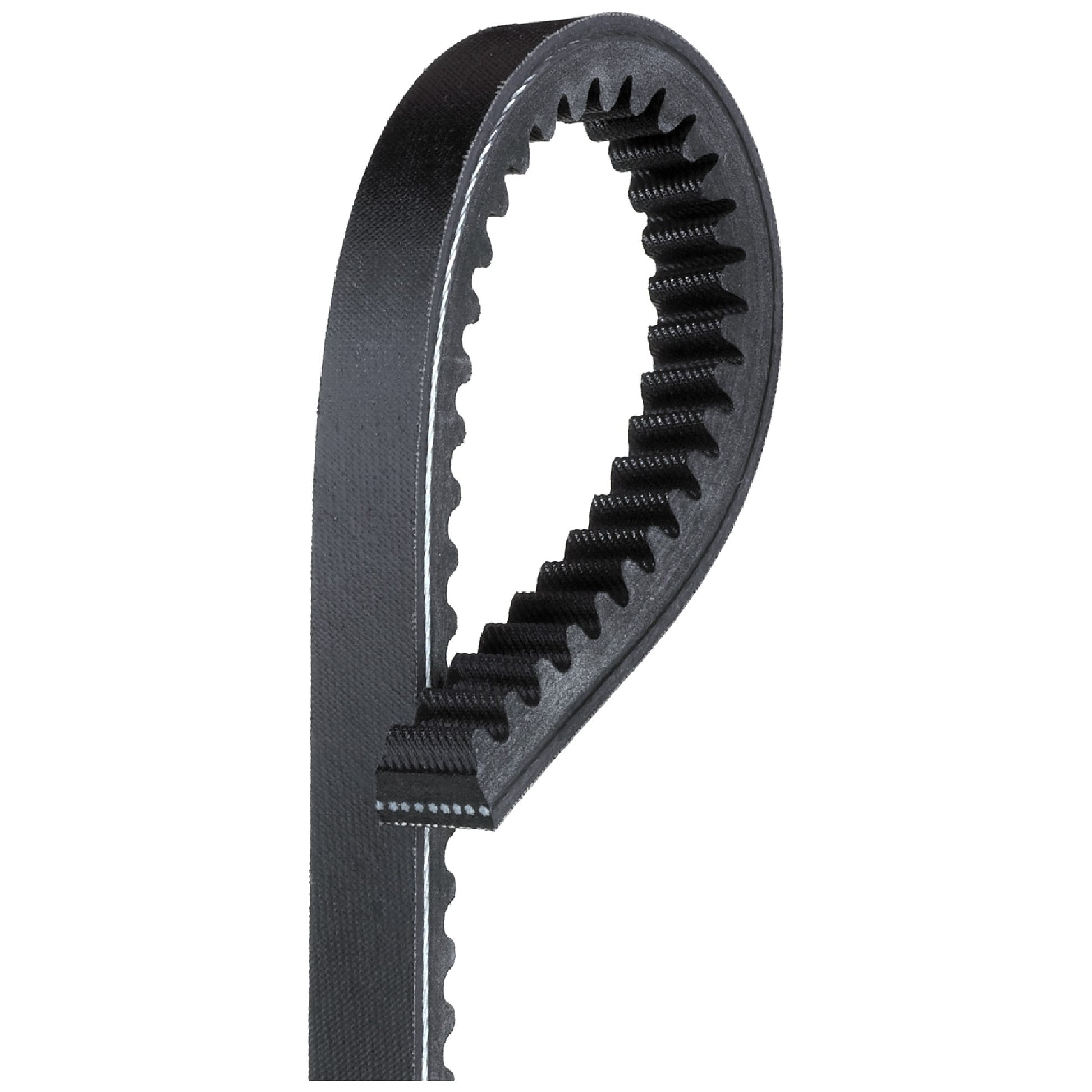 Correia V RAW-EDGE - Gates - 0444 - (1)