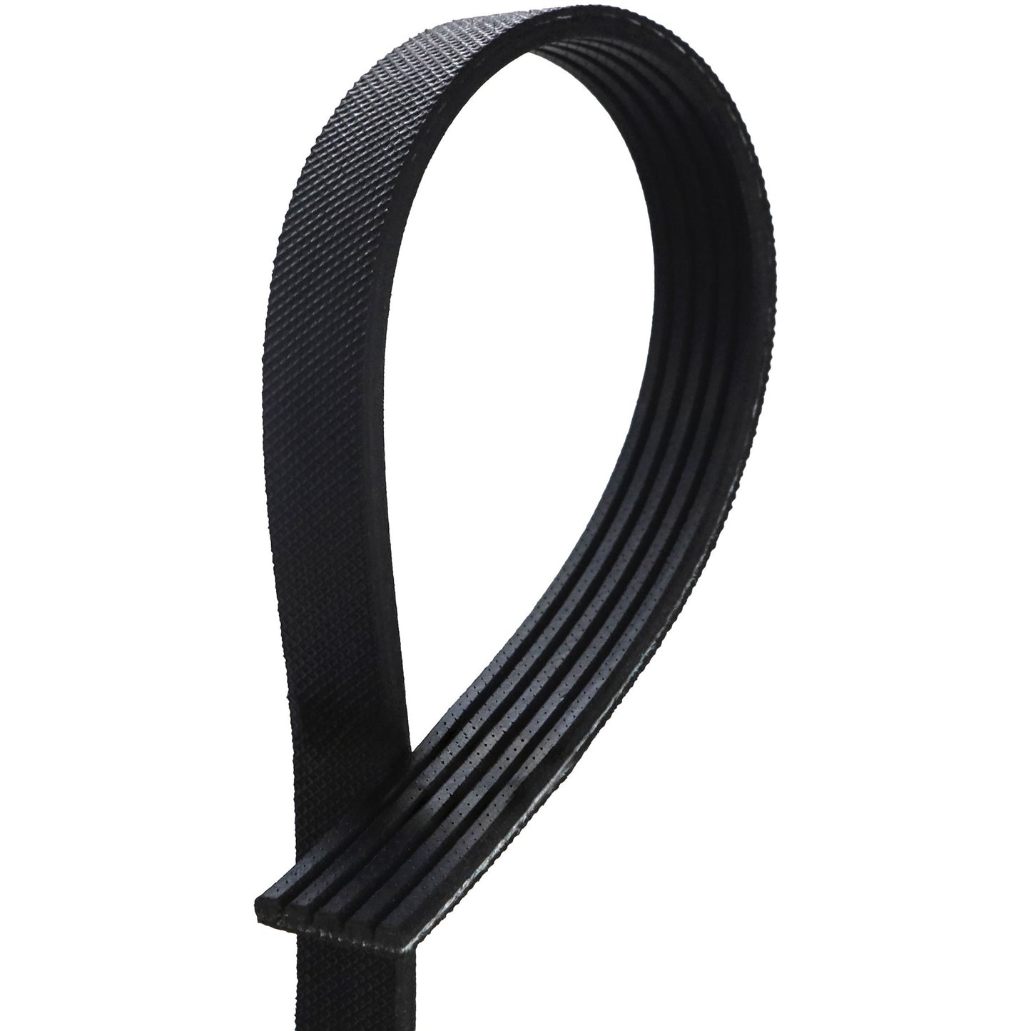 Correia Poly-V 5PK 725mm - Gates - 5PK0725 - (1)