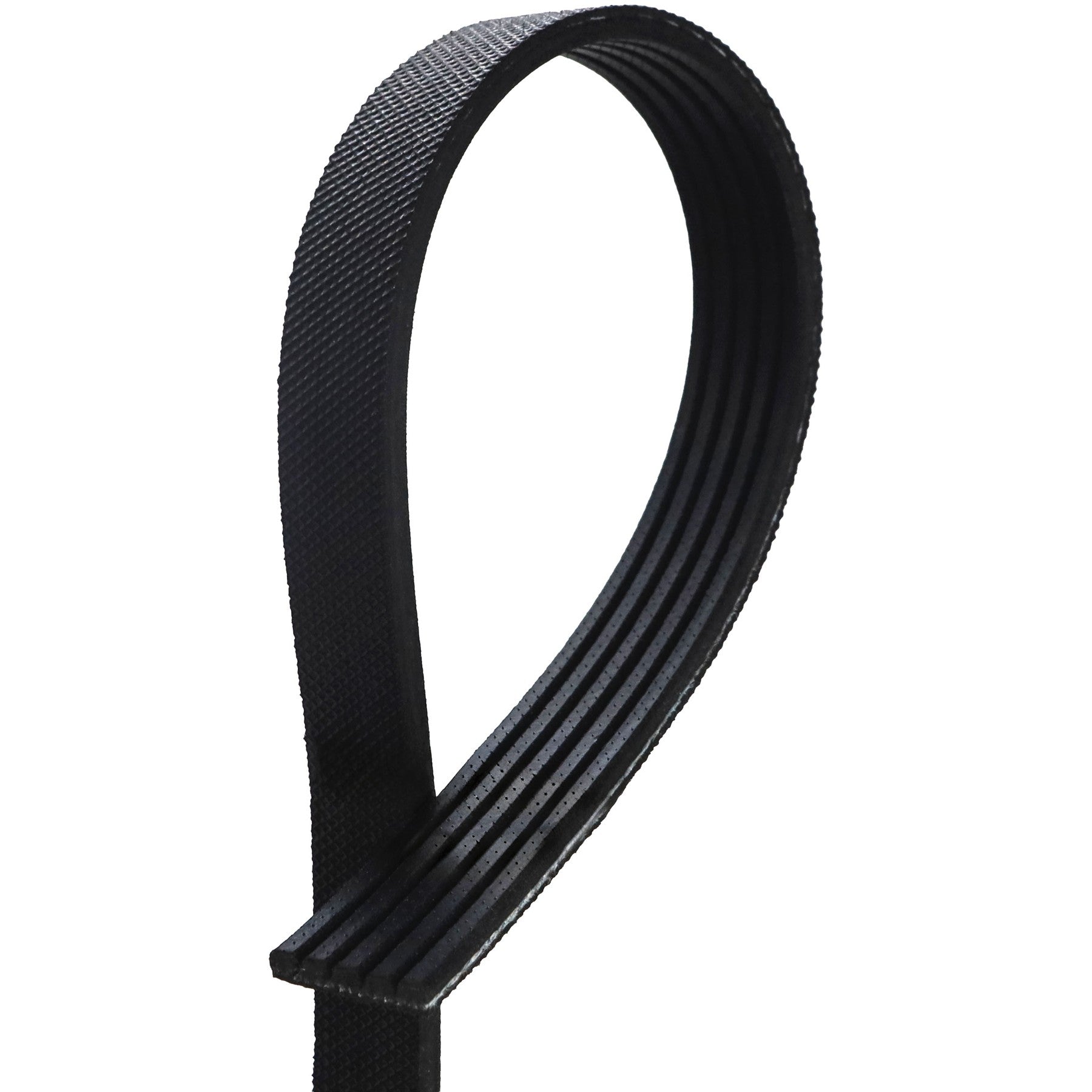 Correia Poly-V 5PK 725mm - Gates - 5PK0725 - (1)