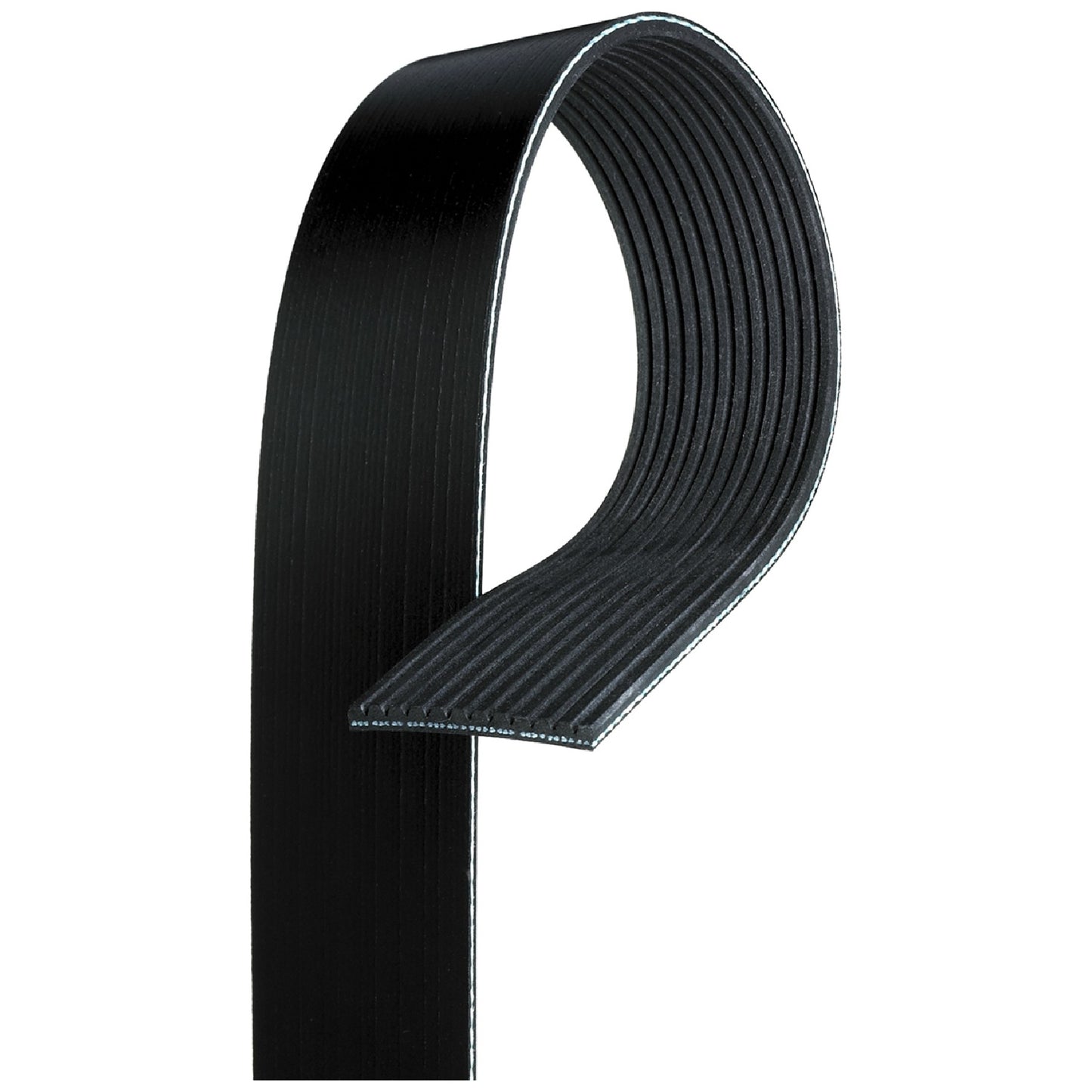 Correia Poly-V 12PK 1830mm - Gates - 12PK1830HD - (1)