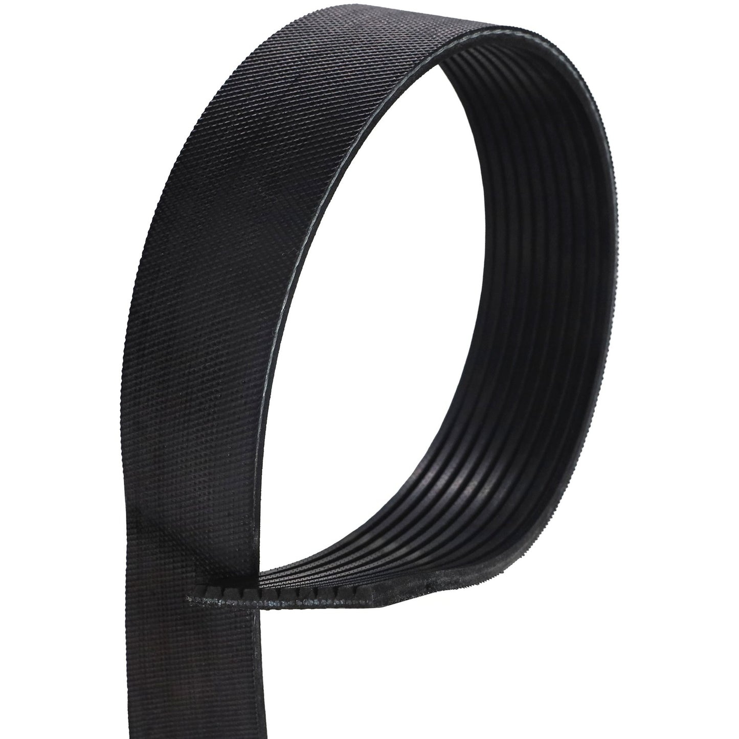 Correia Poly-V 10PK 1725mm - Gates - 10PK1725HD - (1)