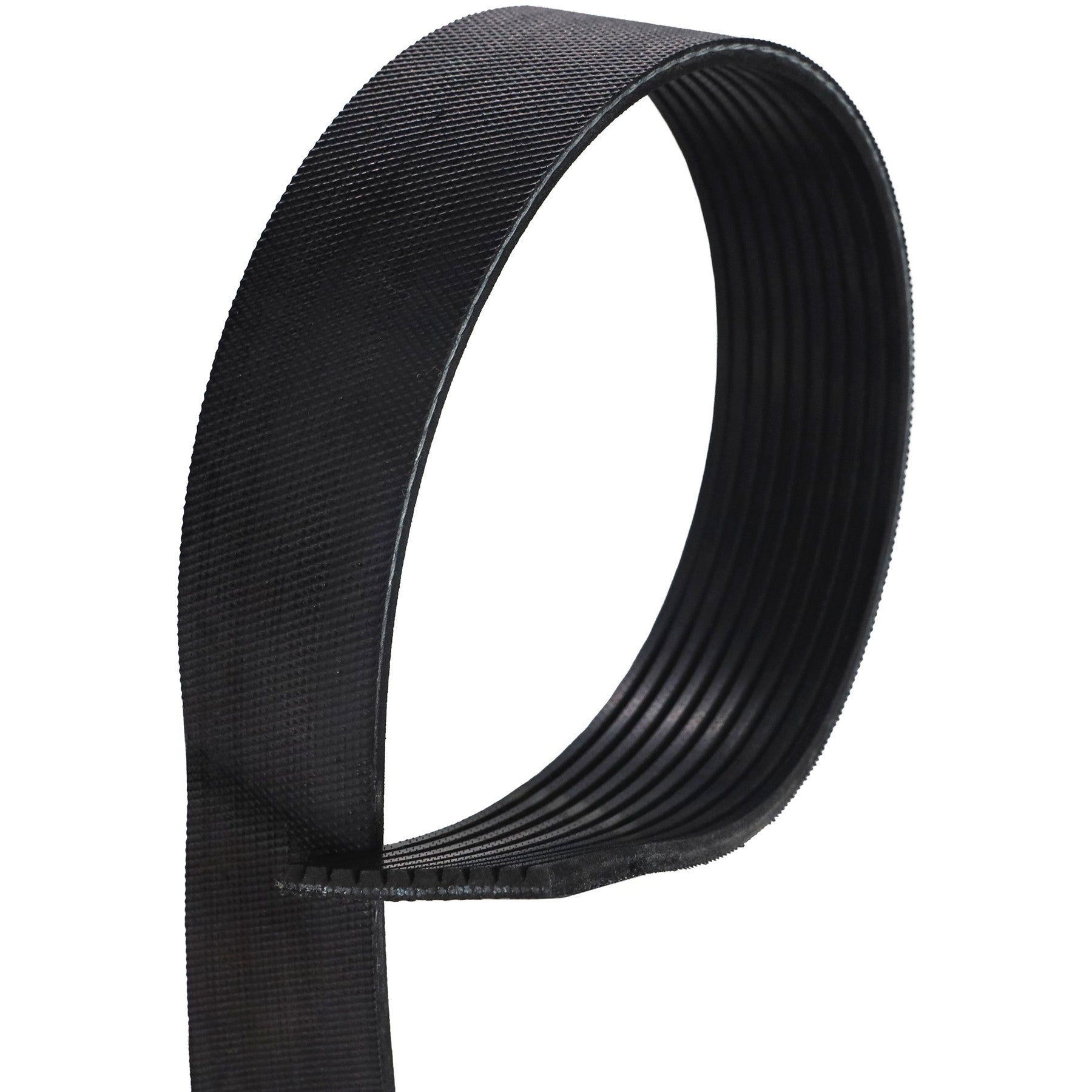 Correia Poly-V 10PK 1725mm - Gates - 10PK1725HD - (1)
